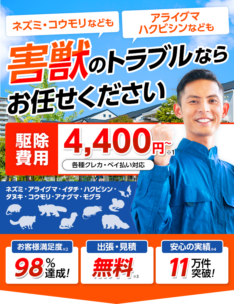 害獣のトラブルならお任せください・害獣駆除・害獣退治・害獣調査・屋根裏の害獣駆除