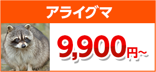 アライグマ駆除・害獣駆除・害獣退治・害獣調査・屋根裏の害獣駆除