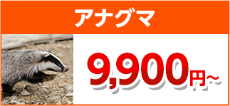 アナグマ駆除・害獣駆除・害獣退治・害獣調査・屋根裏の害獣駆除