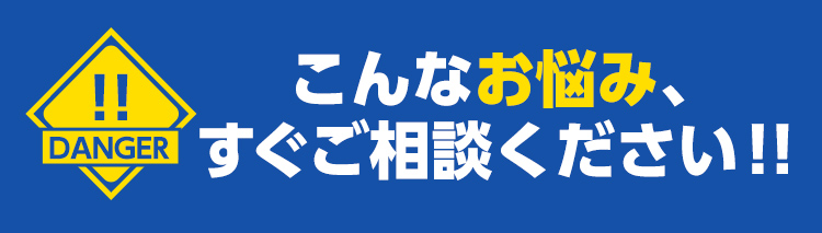 害獣駆除・害獣退治・害獣調査・屋根裏の害獣駆除