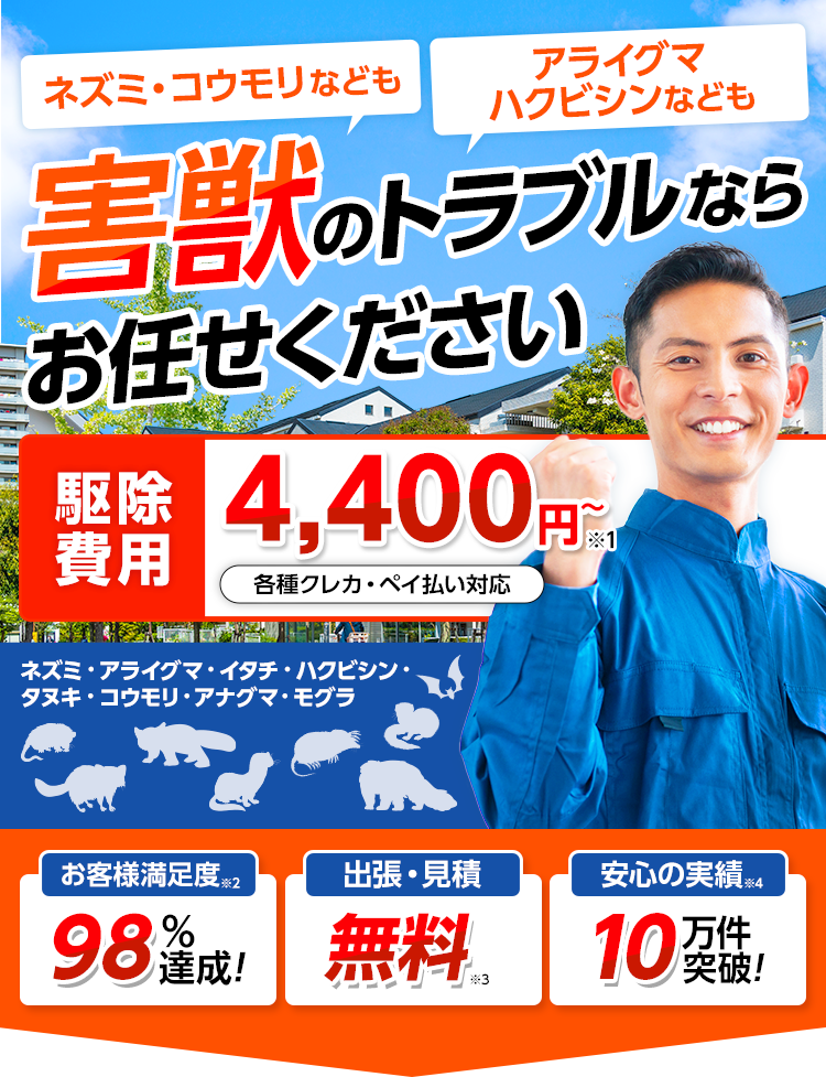 害獣のトラブルならお任せください・害獣駆除・害獣退治・害獣調査・屋根裏の害獣駆除