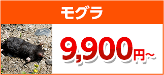 モグラ駆除・害獣駆除・害獣退治・害獣調査・屋根裏の害獣駆除